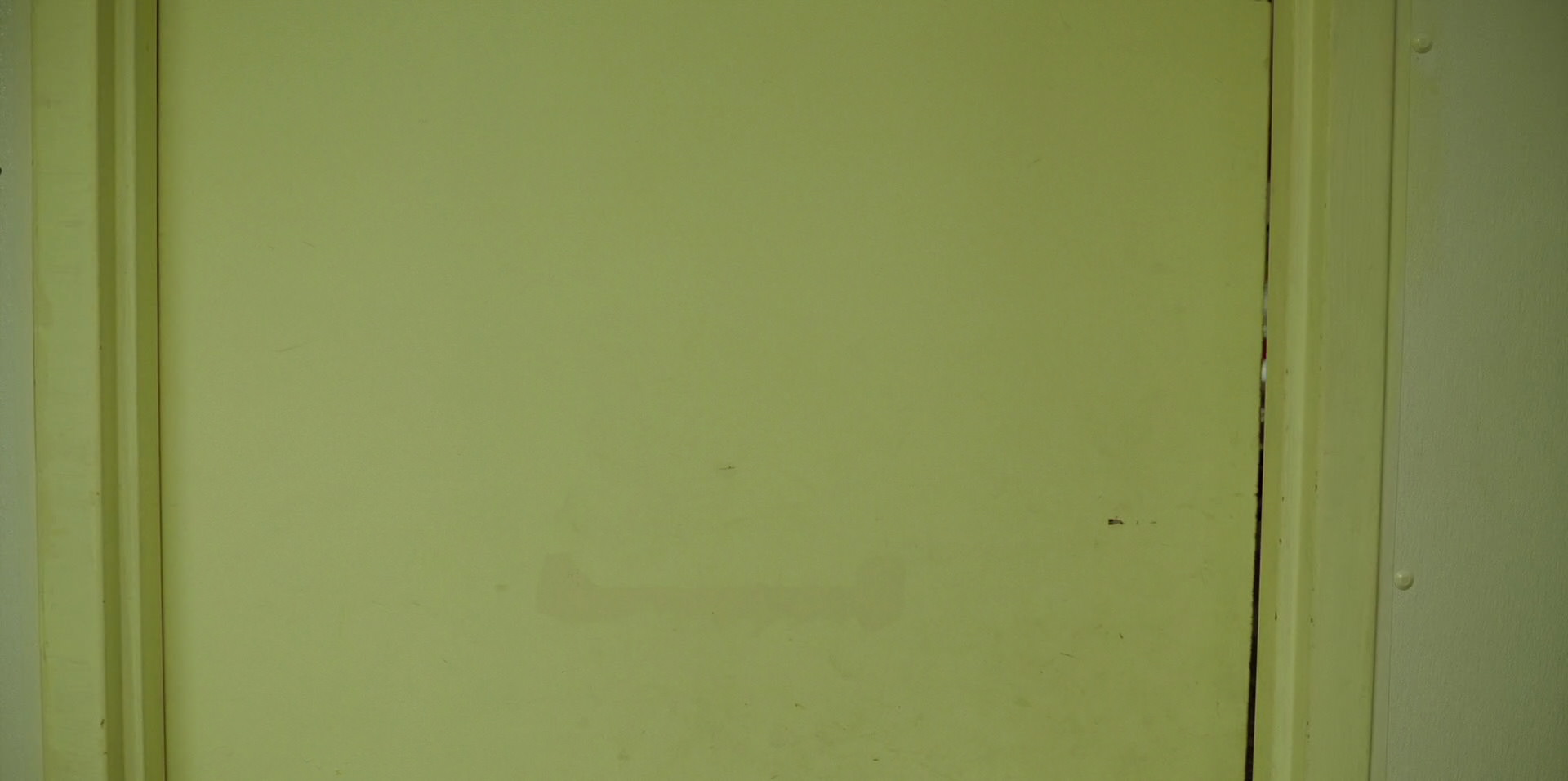 Green Book (2018) HD screenshot 11651