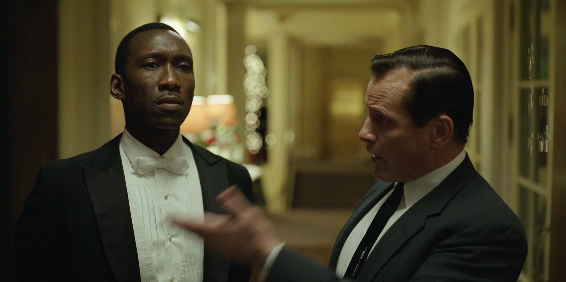 Green Book (2018) movie still 11995