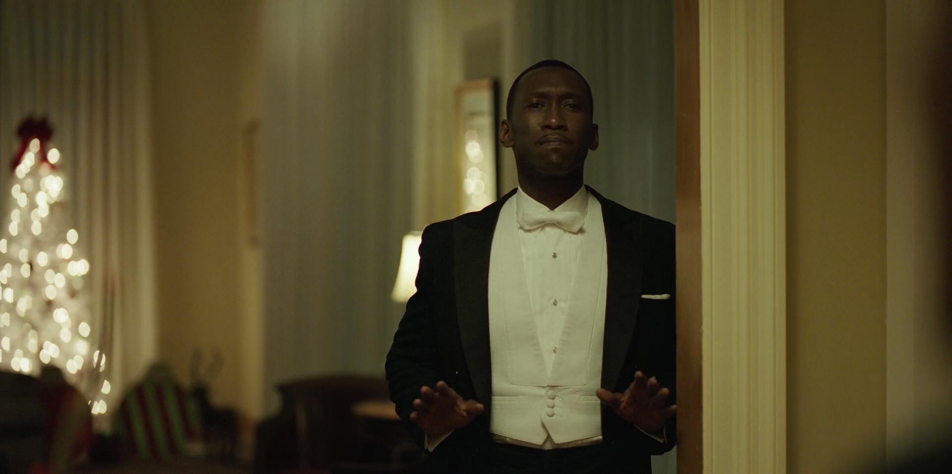 Green Book (2018) movie still 12310