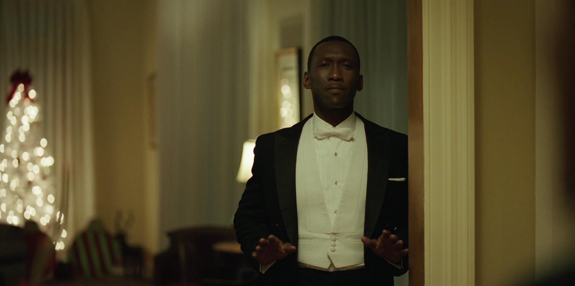 Green Book (2018) HD screenshot 12311