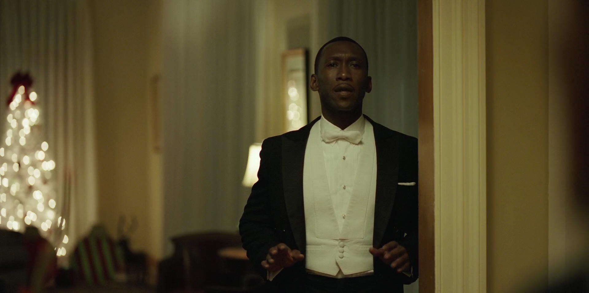 Green Book (2018) screencap 12312