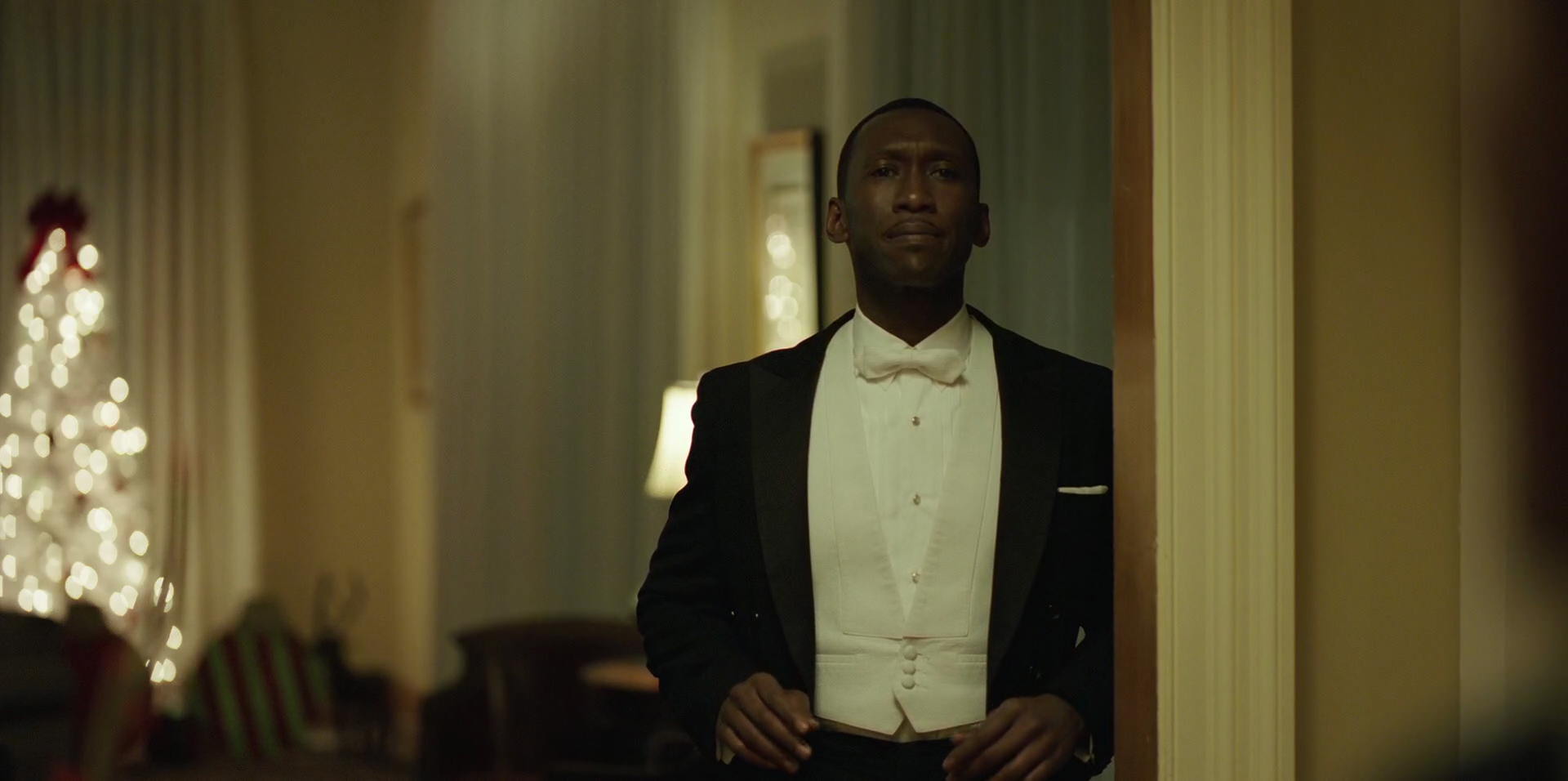 Green Book (2018) movie still 12313