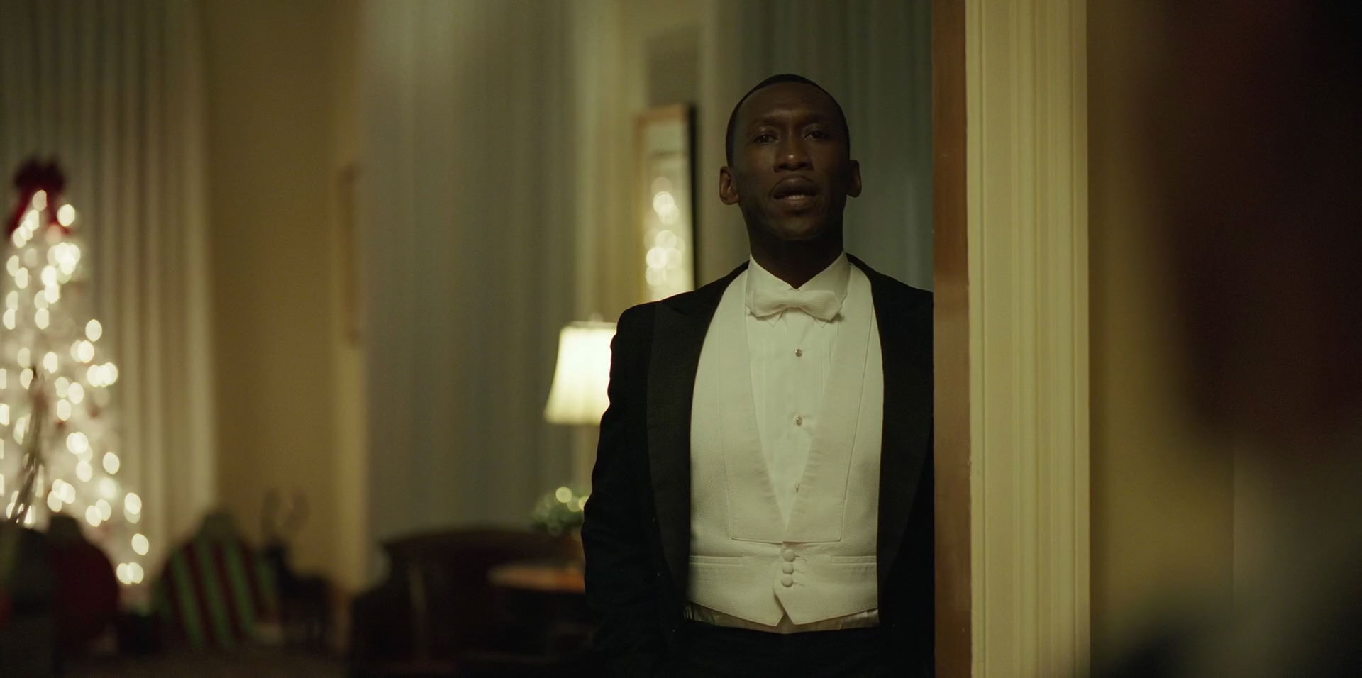 Green Book (2018) movie still 12319