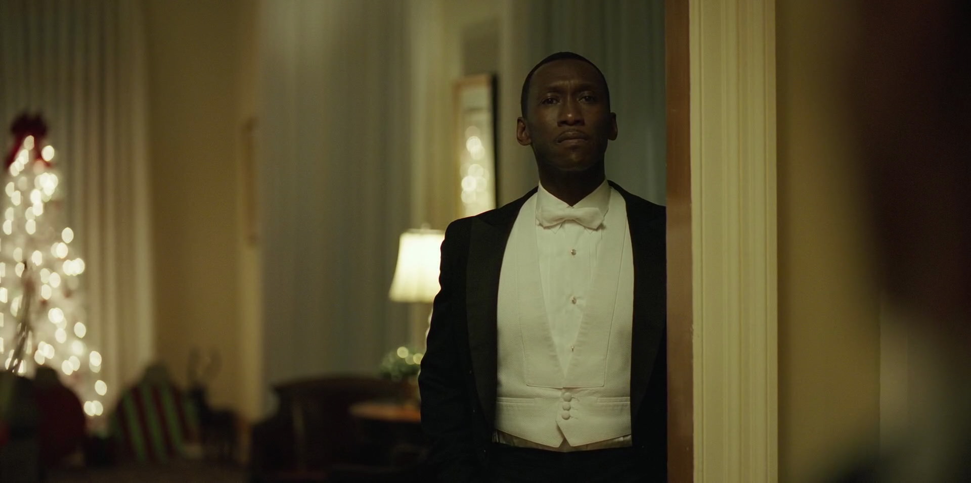 Green Book (2018) HD screenshot 12323