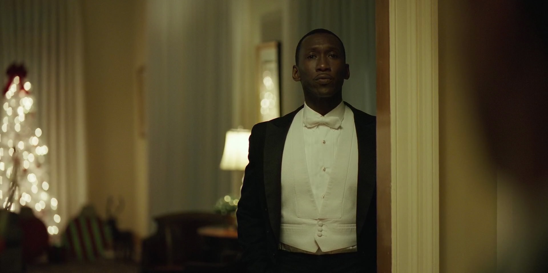 Green Book (2018) movie still 12325