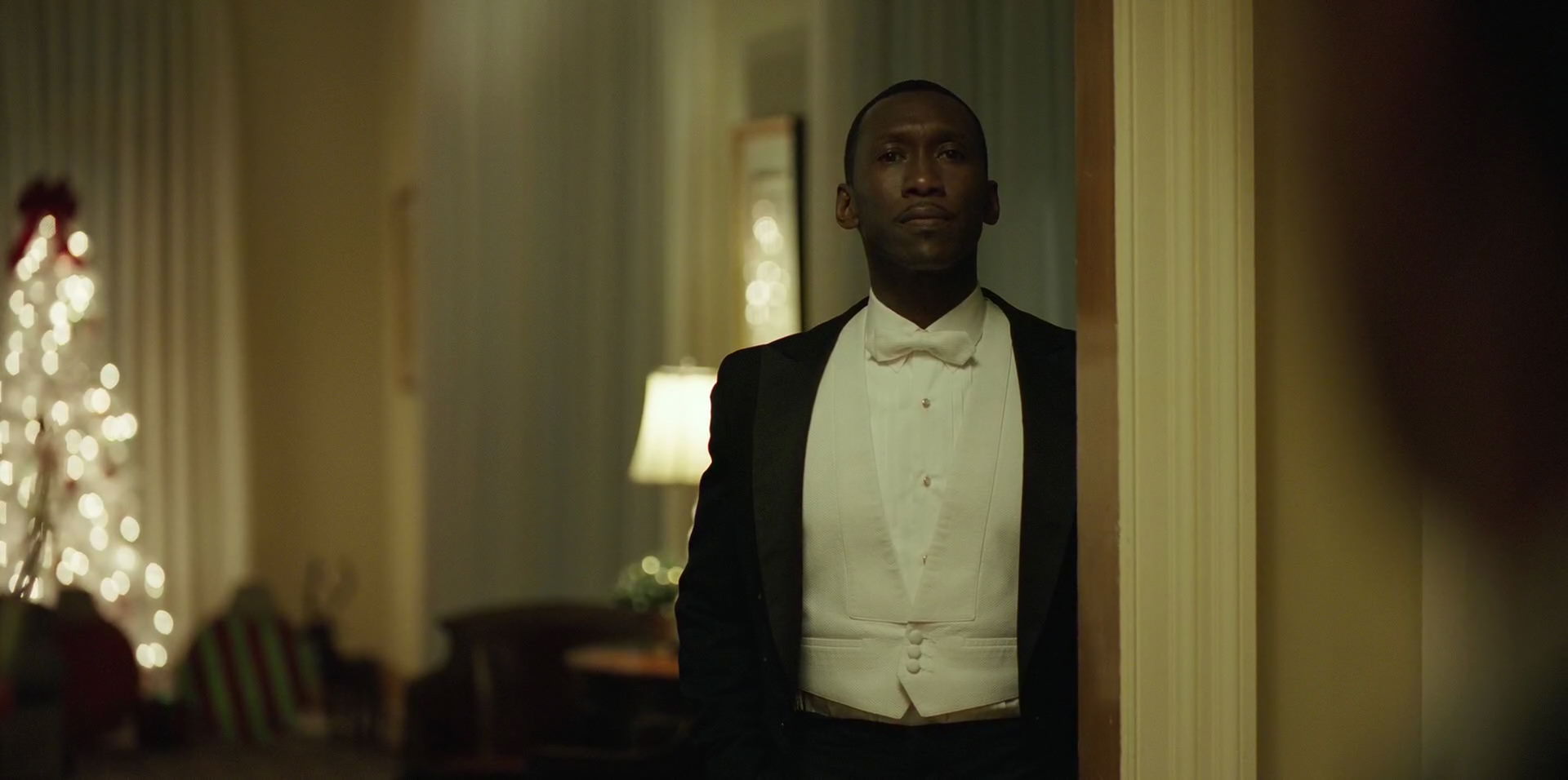 Green Book (2018) HD screenshot 12326