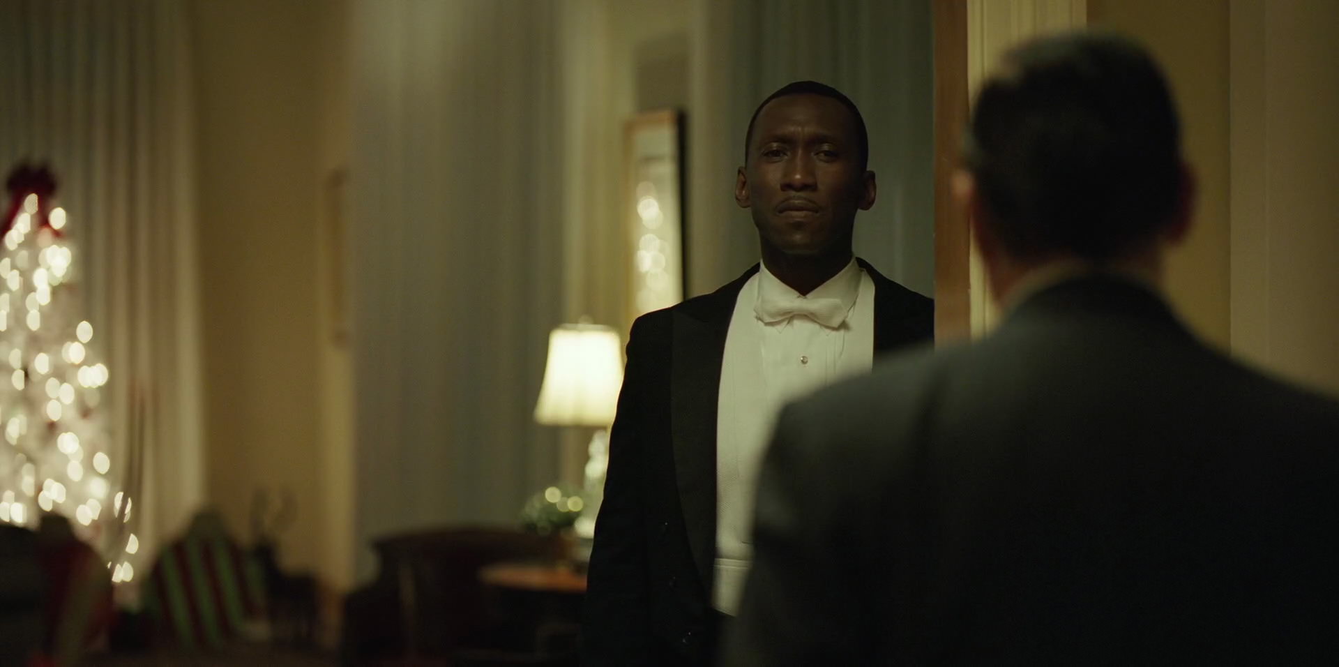 Green Book (2018) movie still 12361