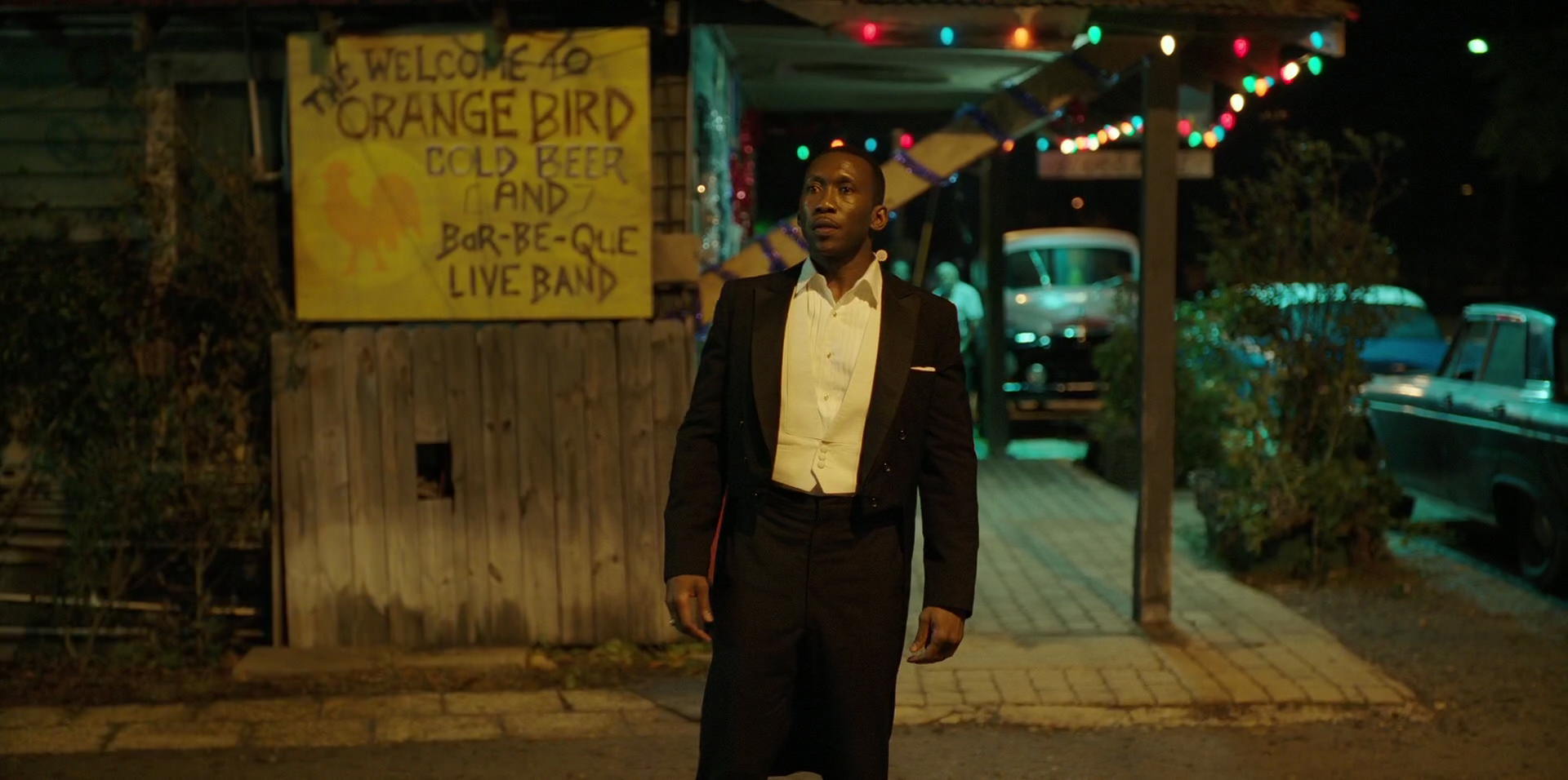 Green Book (2018) movie still 13189