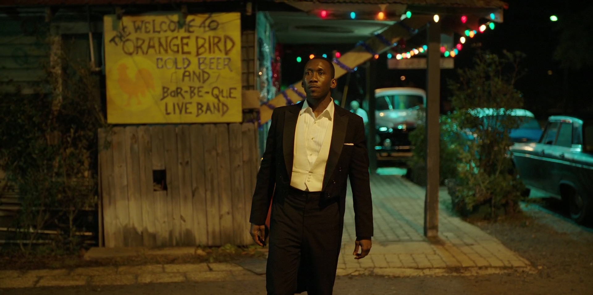 Green Book (2018) HD screenshot 13190