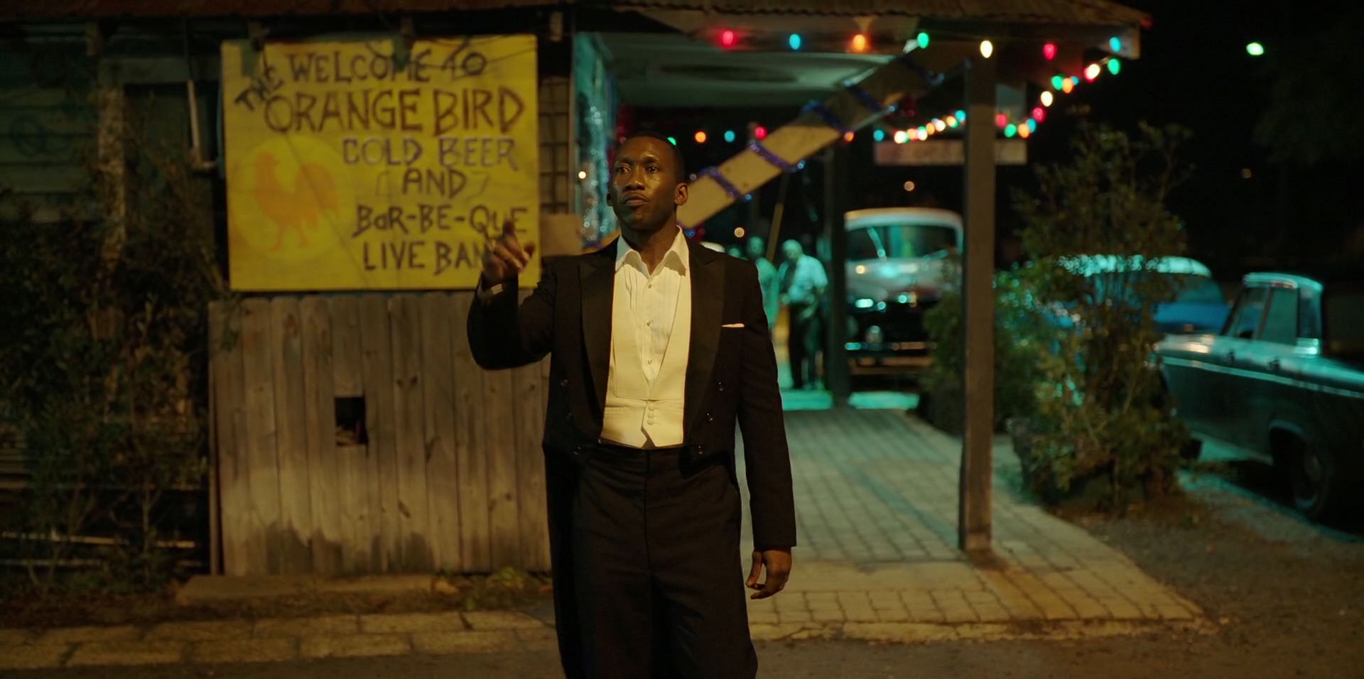Green Book (2018) movie still 13192