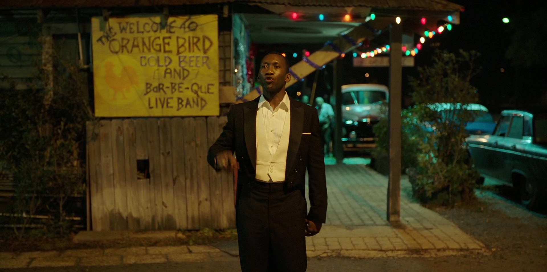 Green Book (2018) HD screenshot 13193