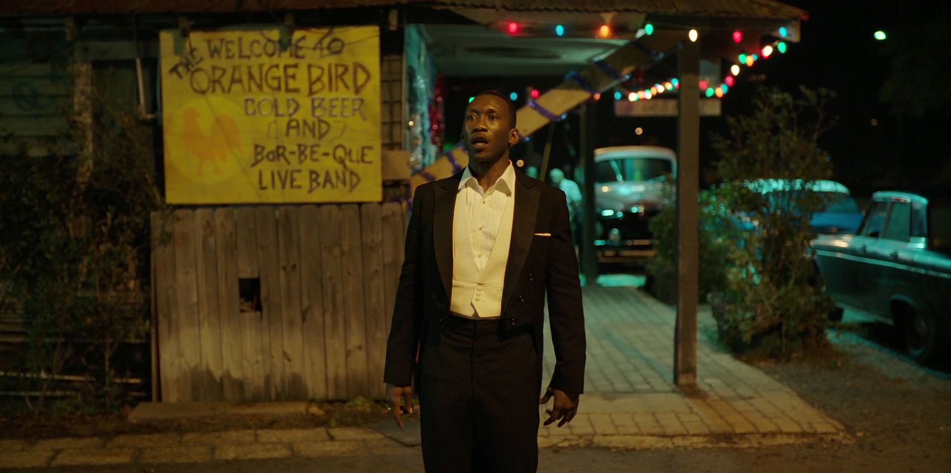 Green Book (2018) screencap 13194
