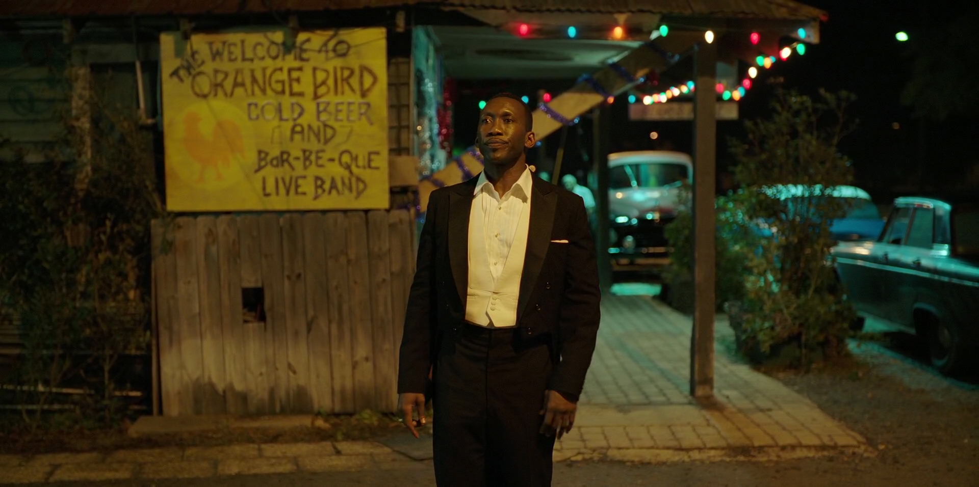 Green Book (2018) movie still 13195