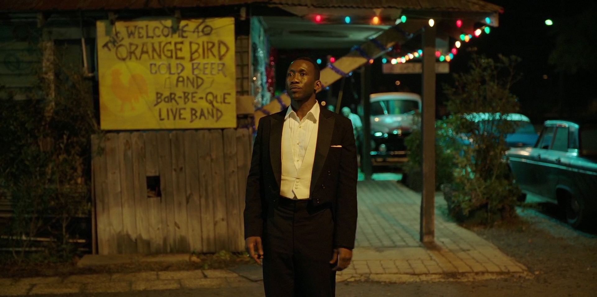 Green Book (2018) HD screenshot 13196