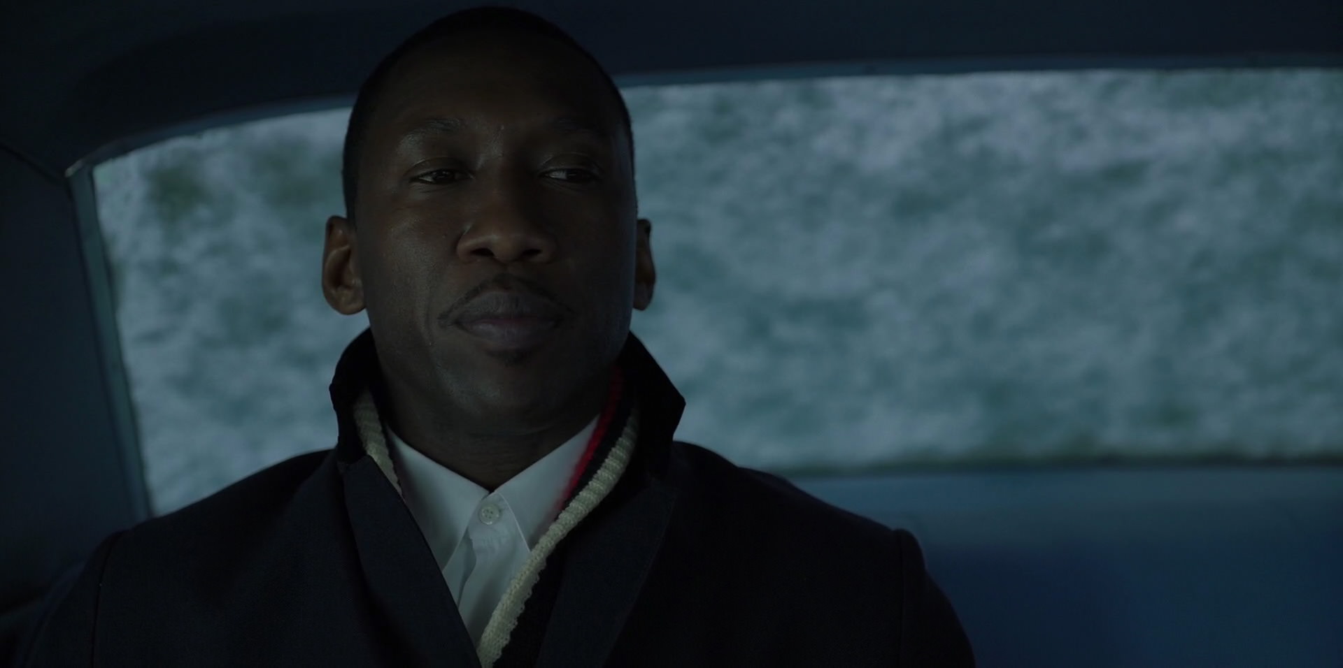 Green Book (2018) movie still 13258
