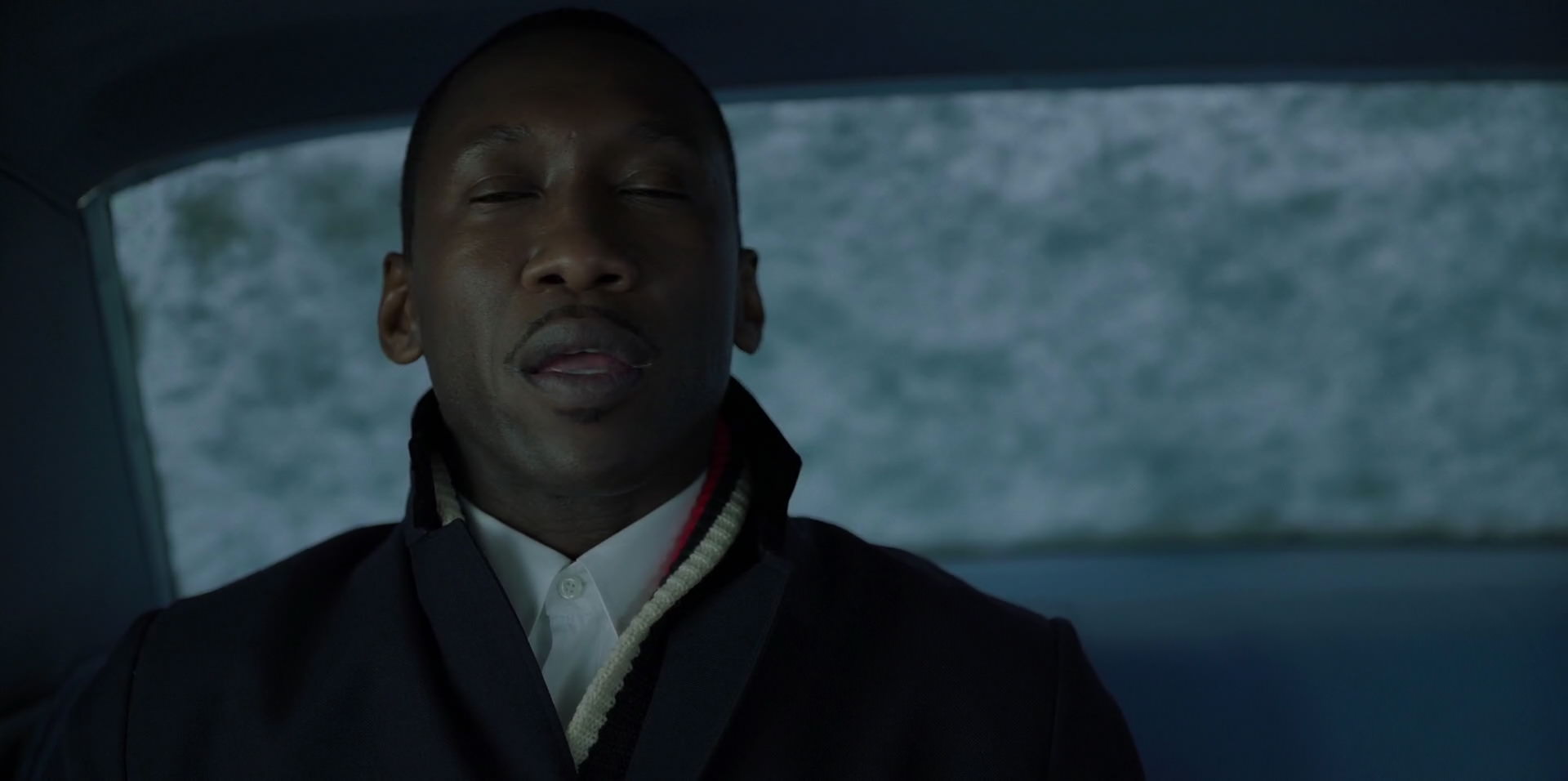 Green Book (2018) HD screenshot 13268