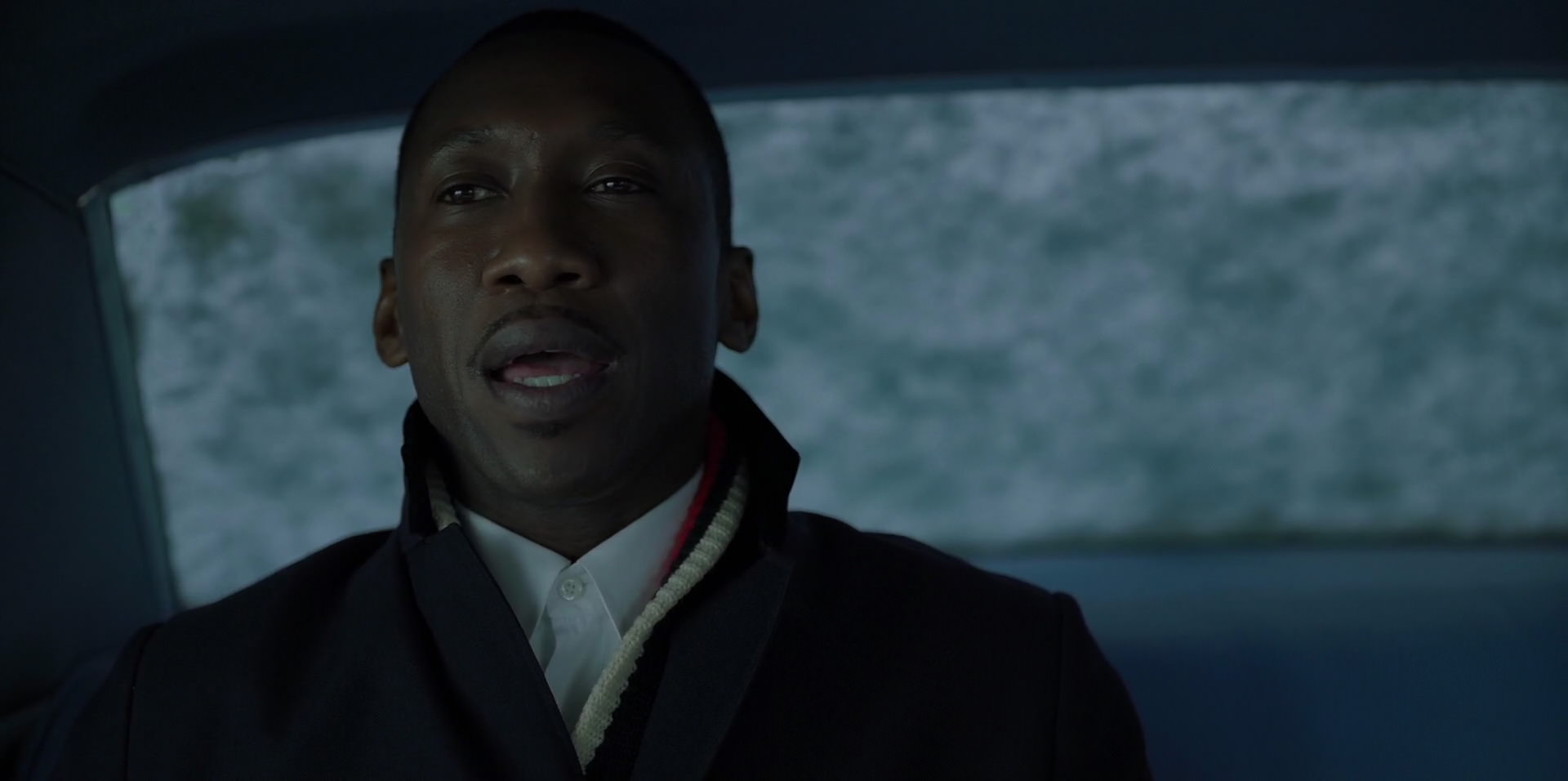 Green Book (2018) movie still 13270