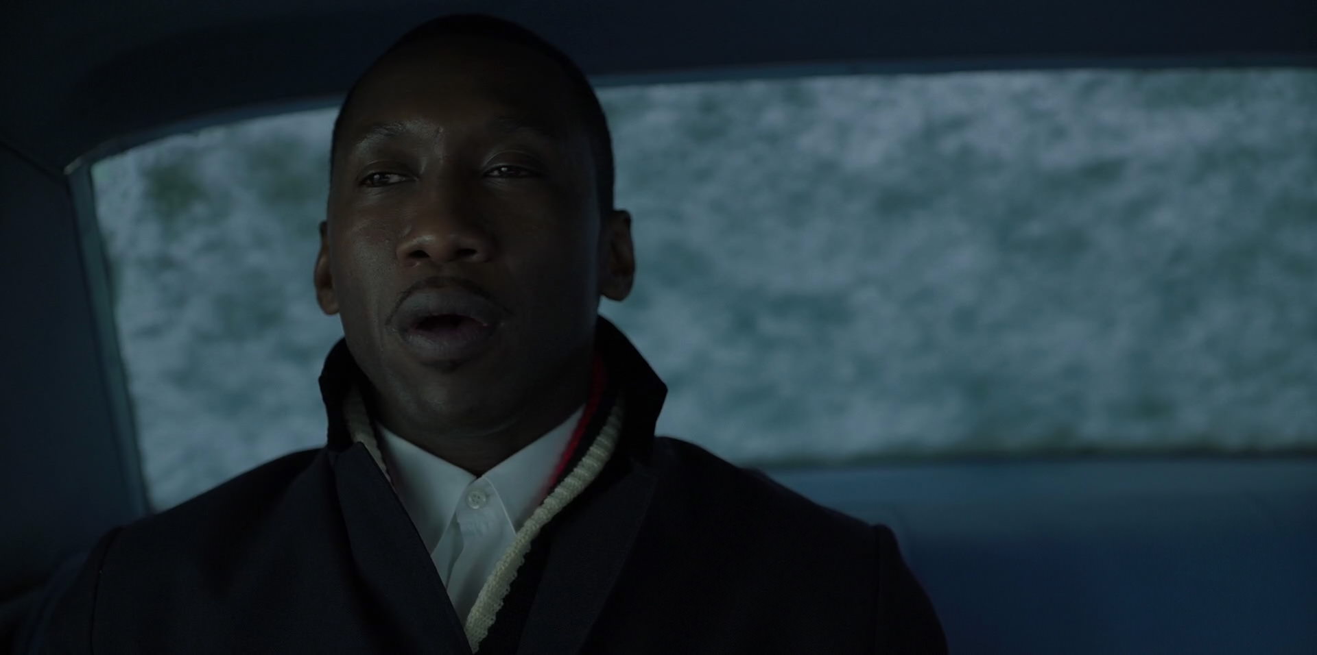 Green Book (2018) screencap 13281