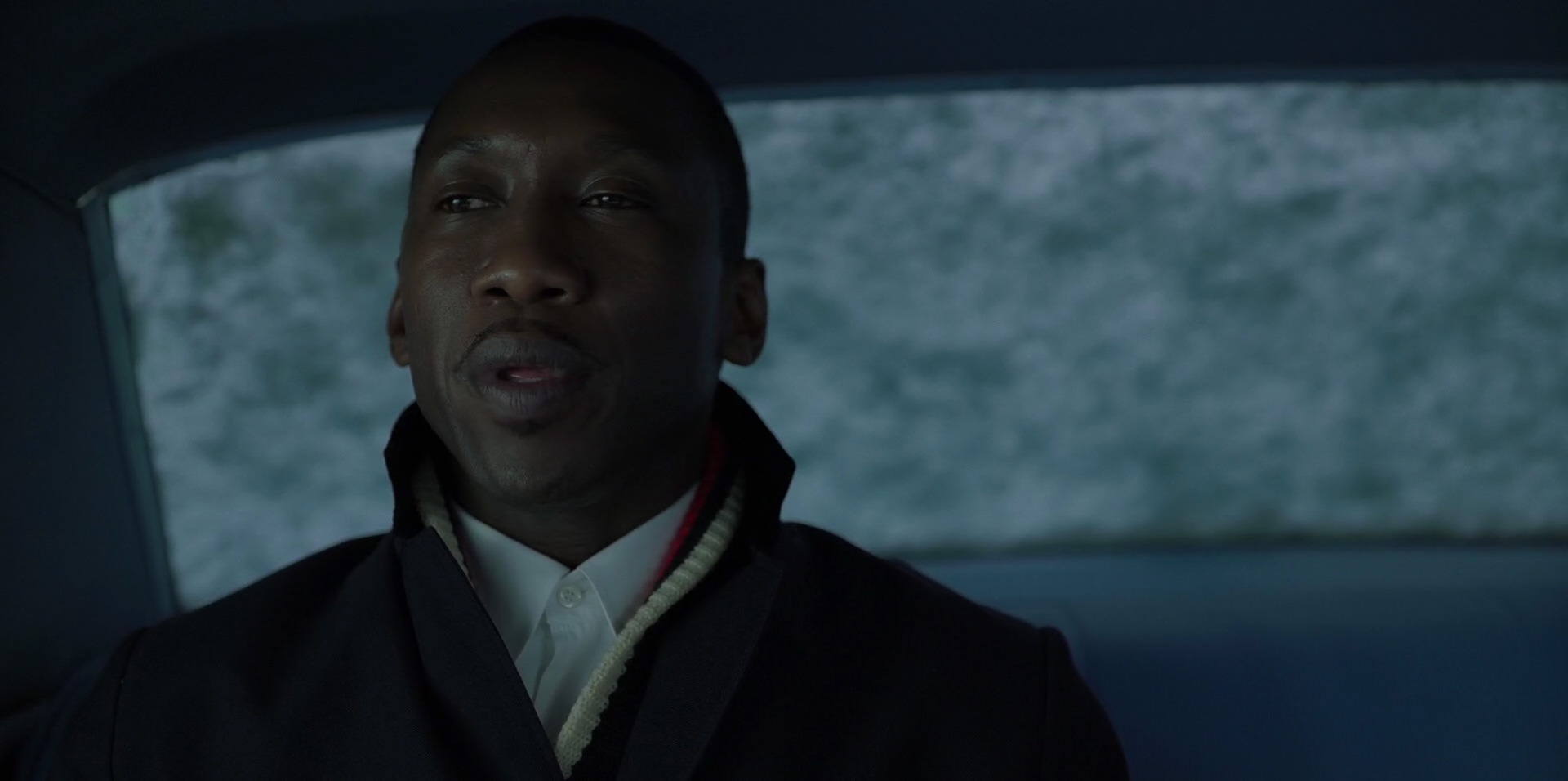 Green Book (2018) movie still 13282