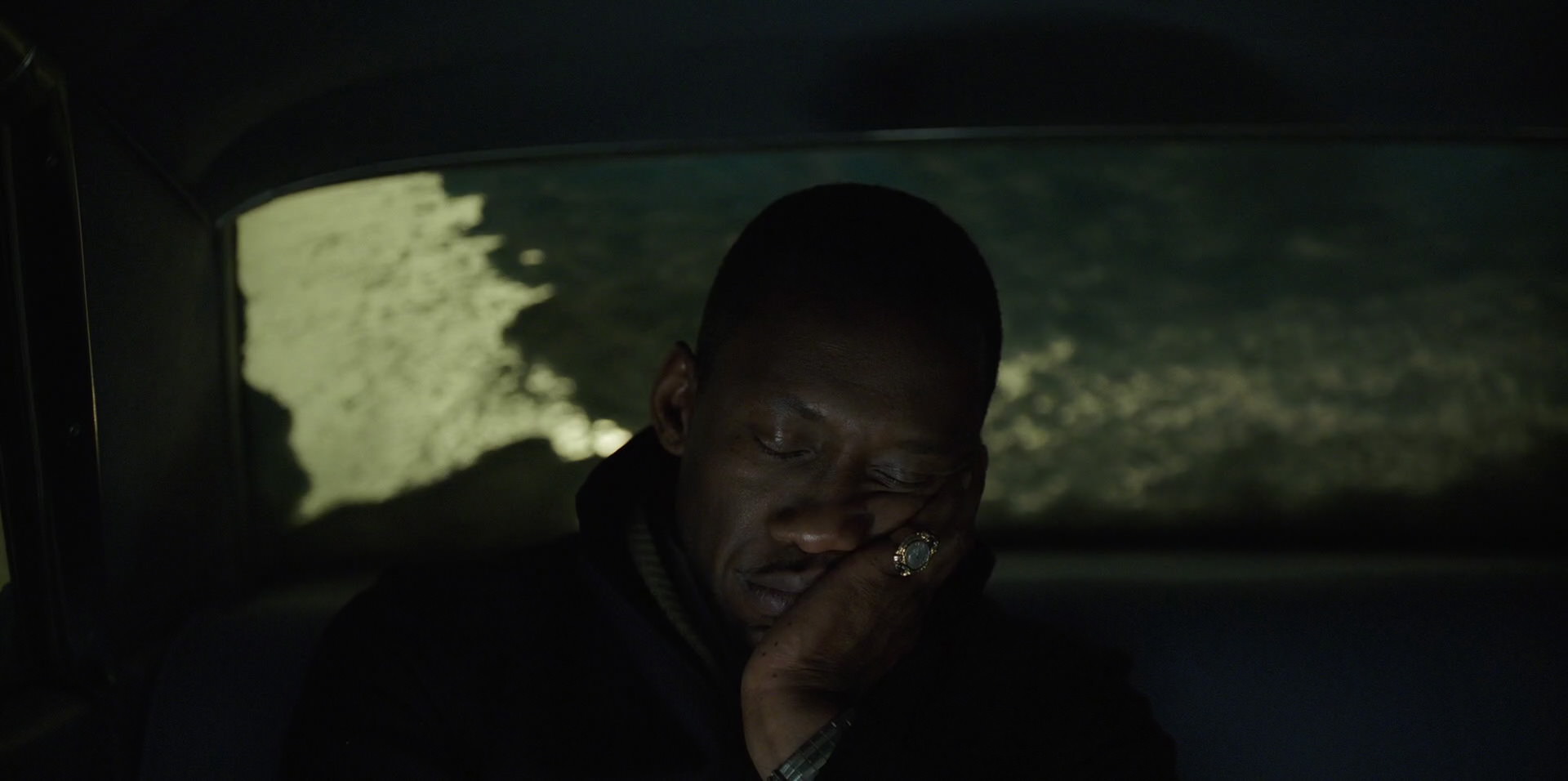 Green Book (2018) HD screenshot 13343