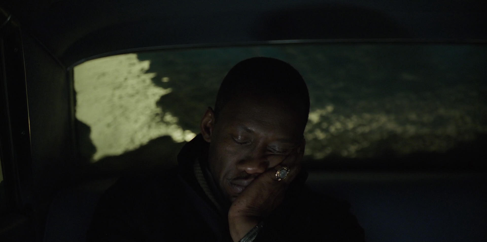 Green Book (2018) HD screenshot 13346