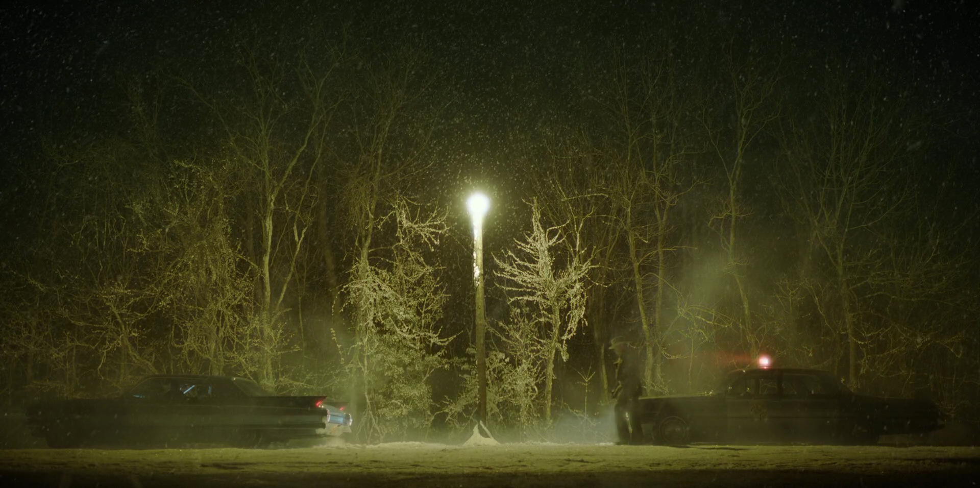 Green Book (2018) movie still 13390