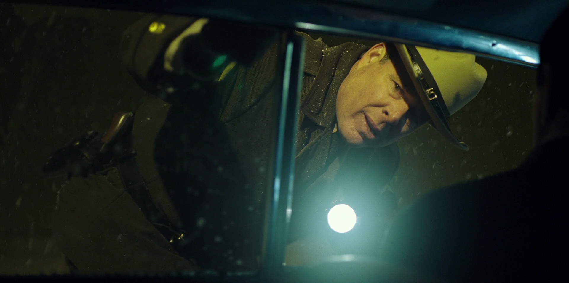 Green Book (2018) movie still 13414