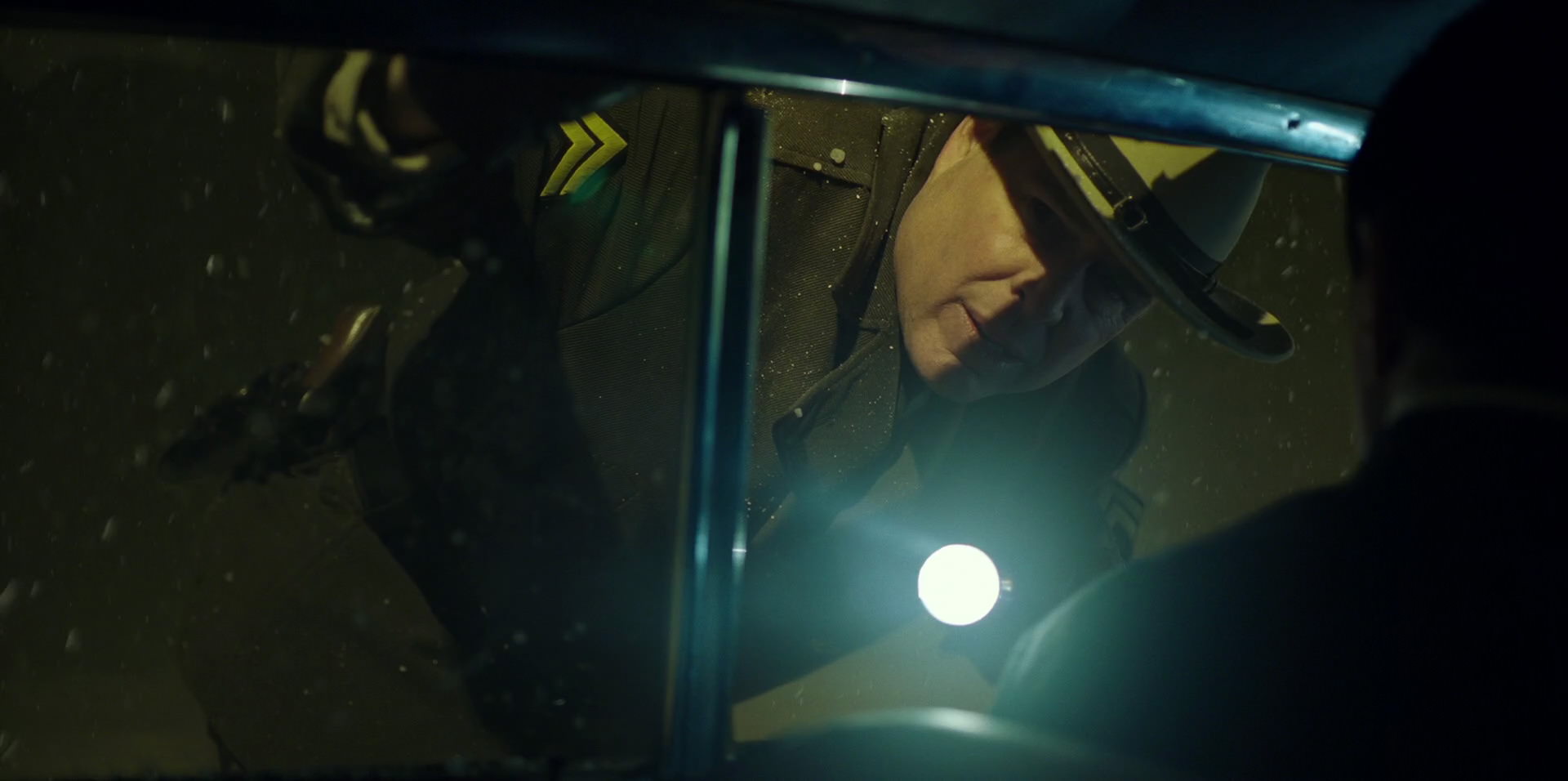 Green Book (2018) HD screenshot 13421