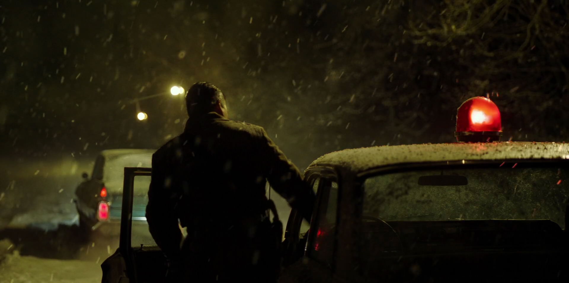 Green Book (2018) HD screenshot 13523
