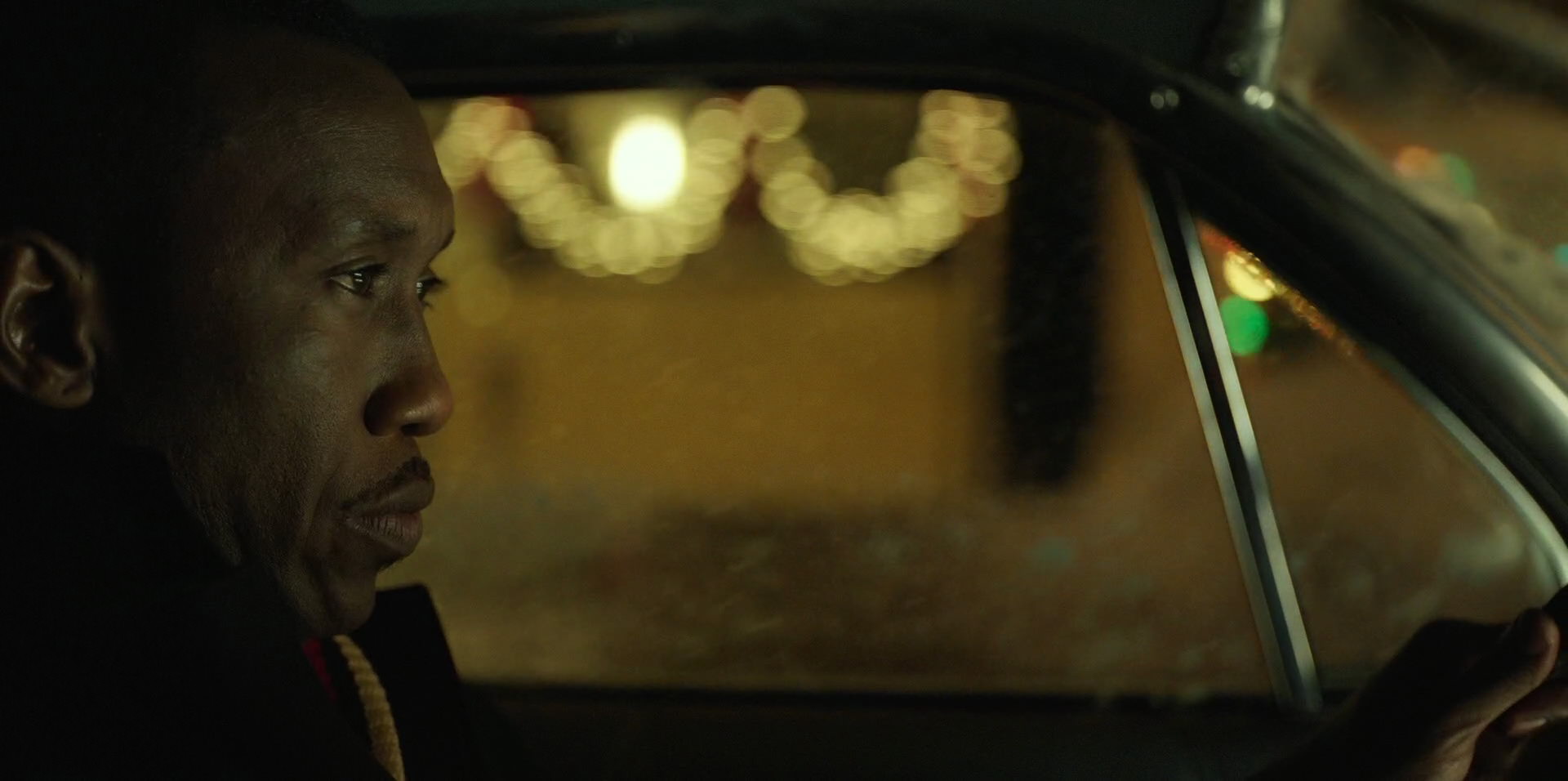 Green Book (2018) HD screenshot 13724