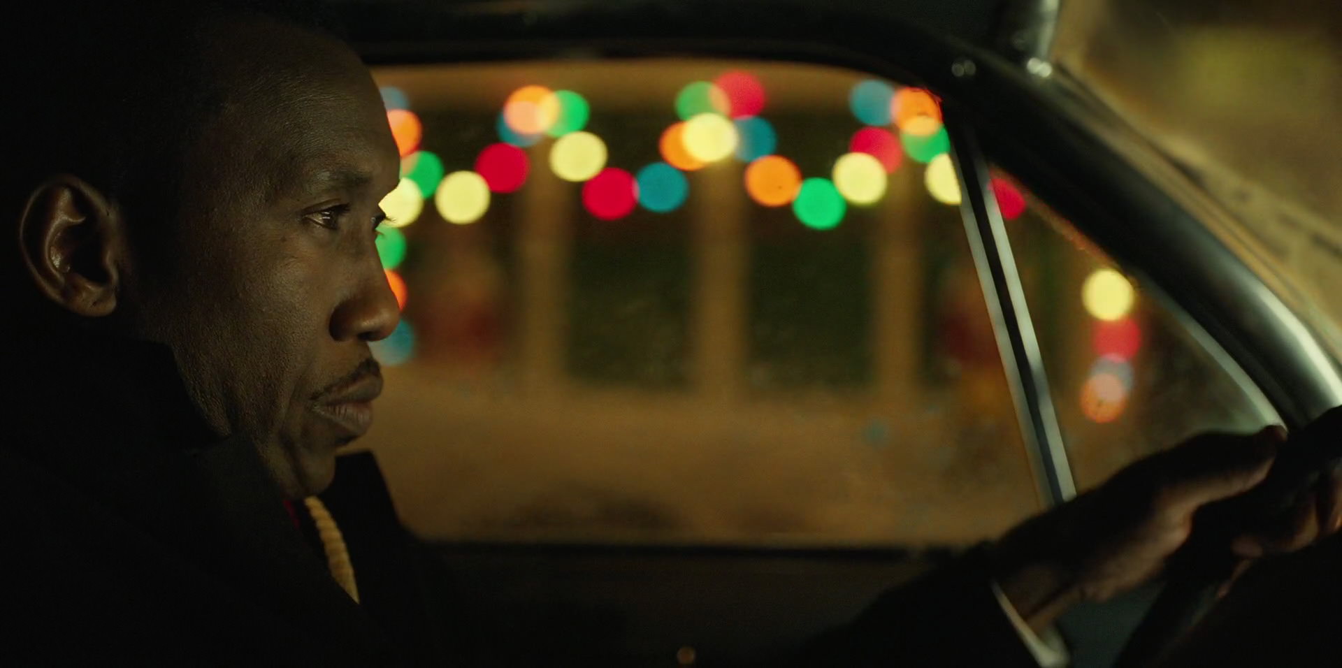 Green Book (2018) HD screenshot 13727