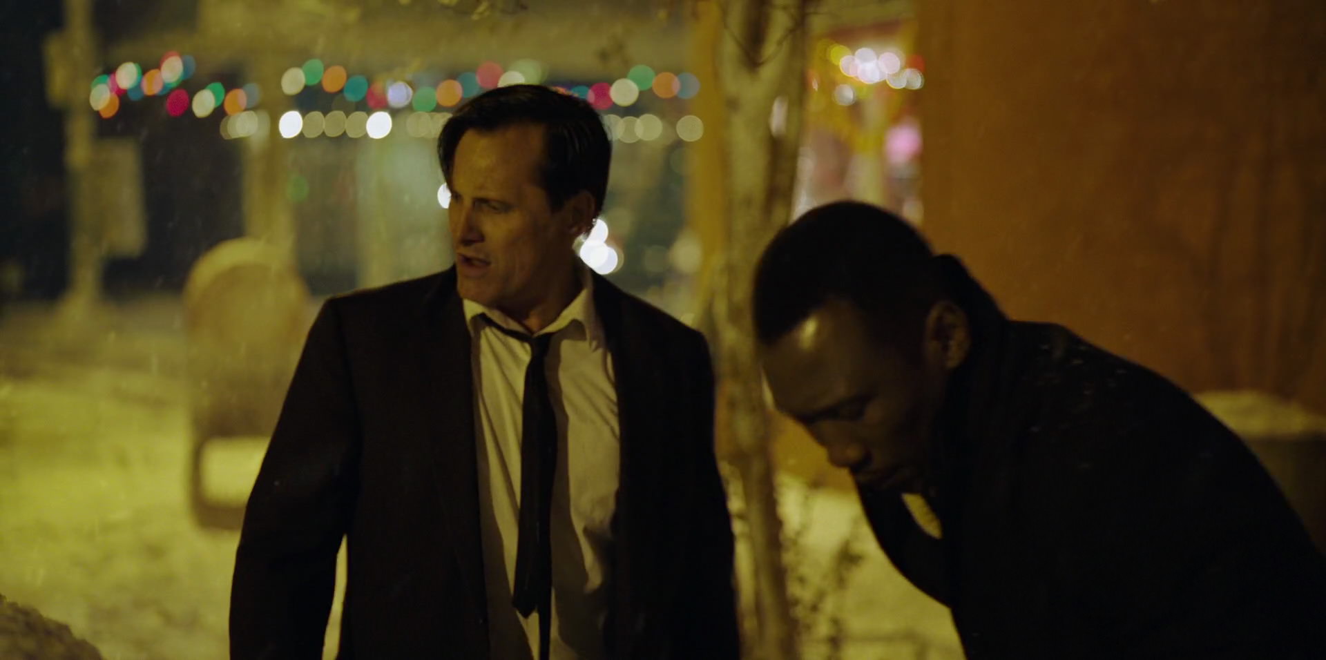 Green Book (2018) movie still 13786