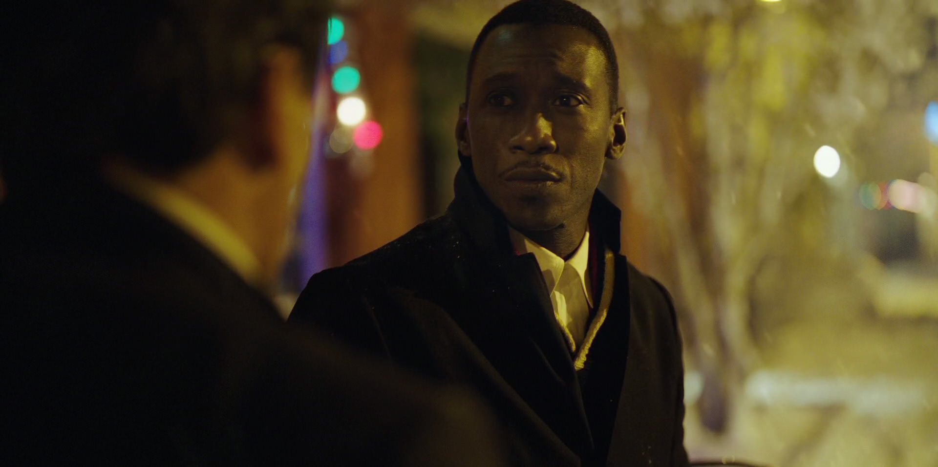 Green Book (2018) movie still 13813