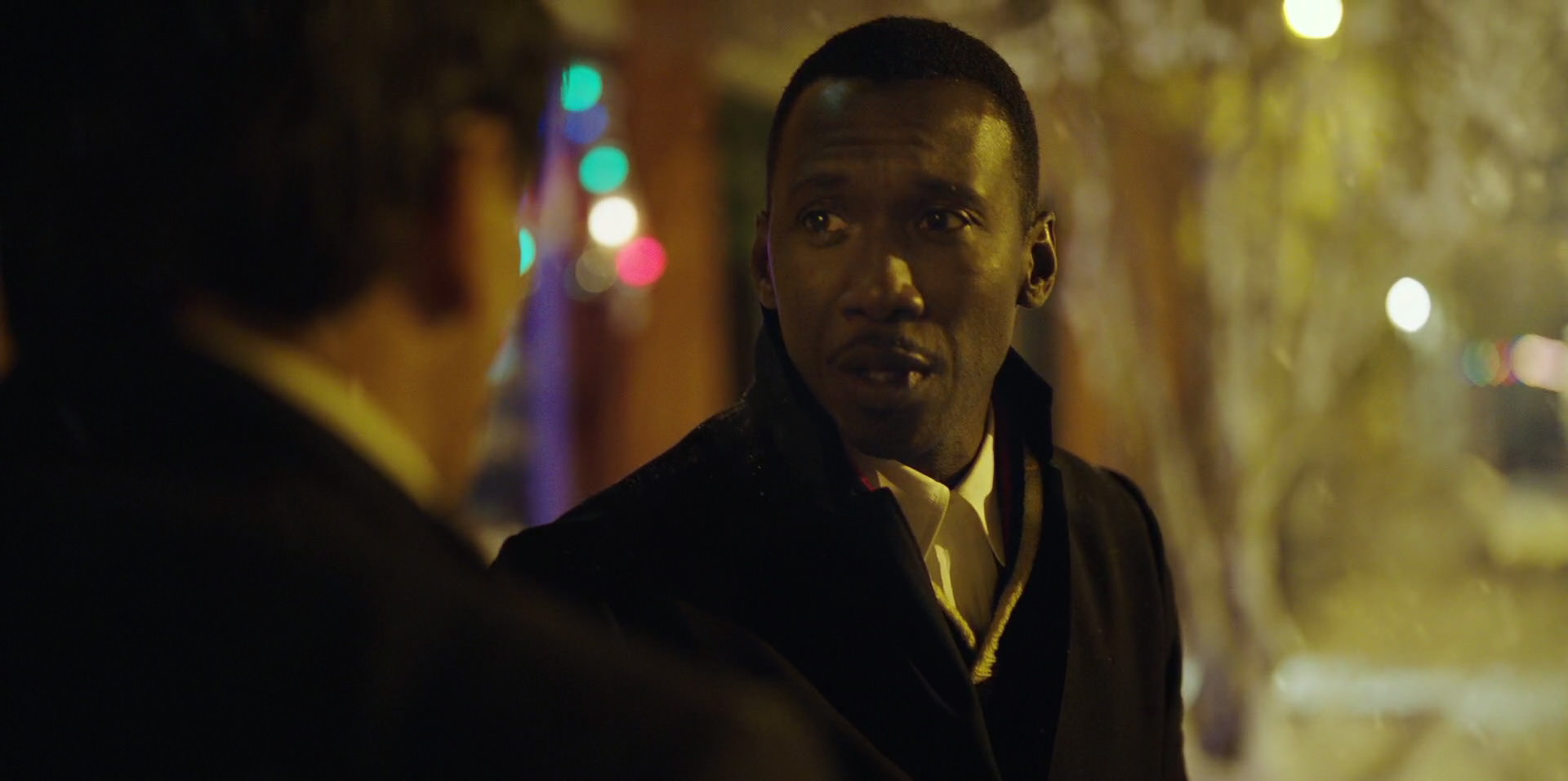 Green Book (2018) HD screenshot 13814