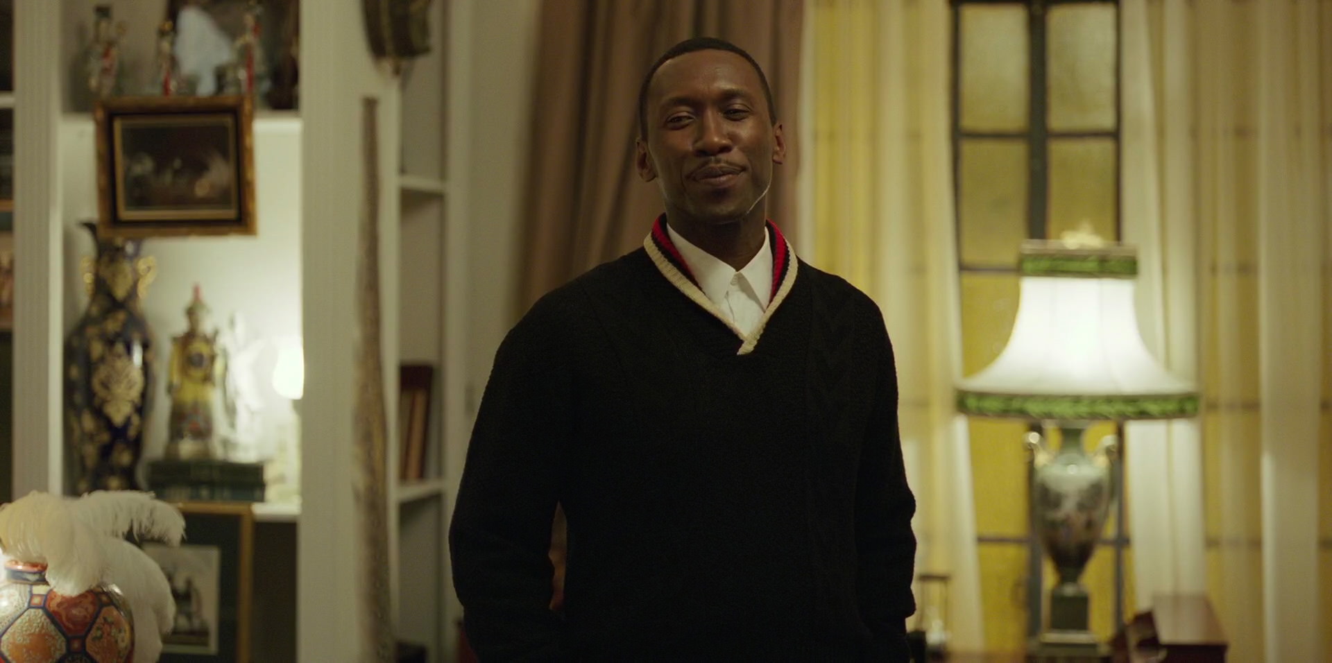 Green Book (2018) movie still 14047