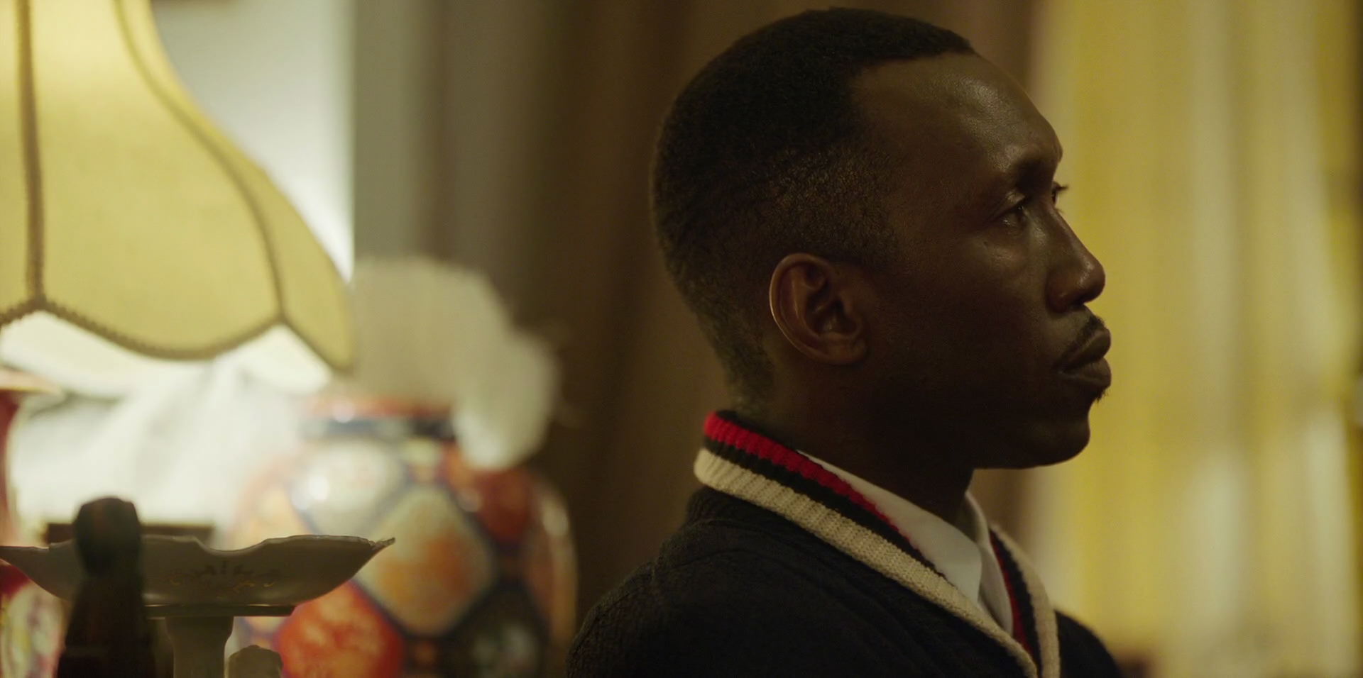 Green Book (2018) movie still 14101