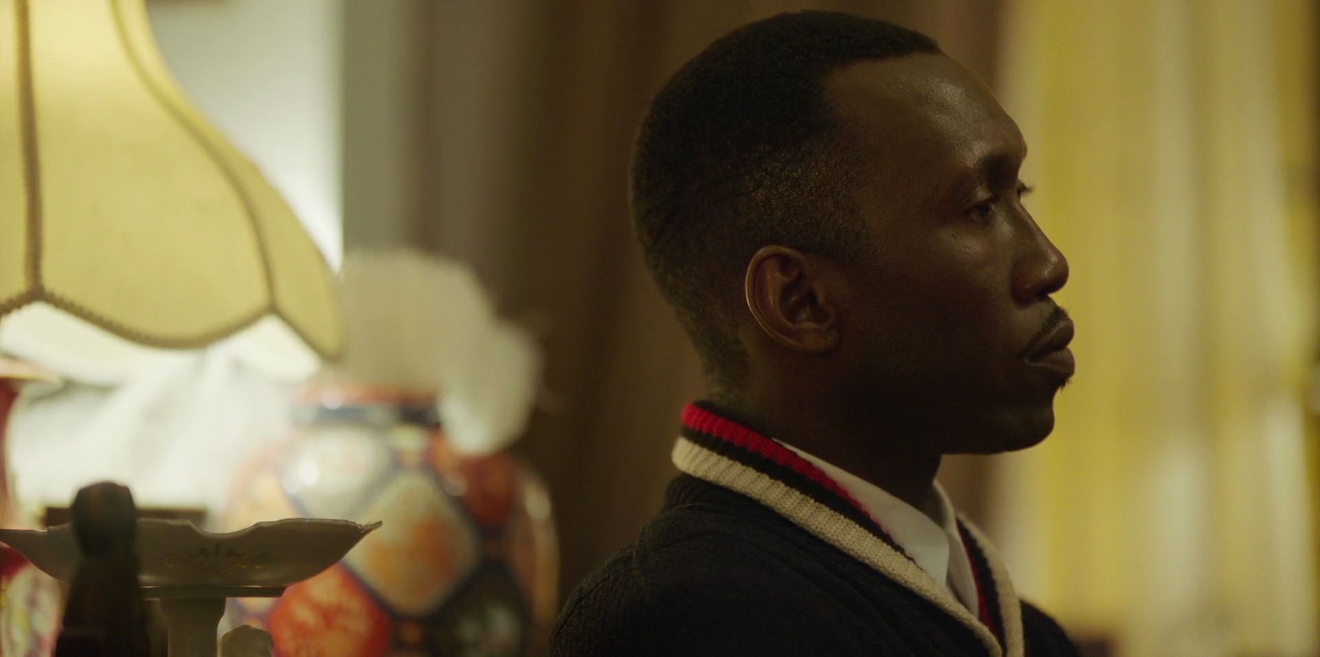 Green Book (2018) HD screenshot 14102