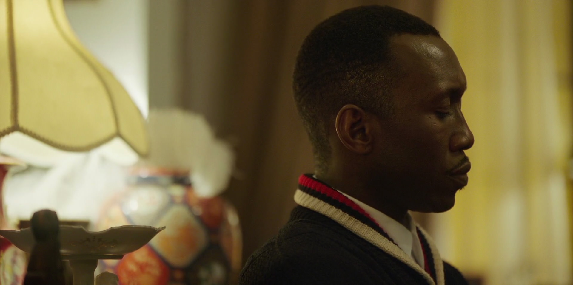 Green Book (2018) movie still 14104