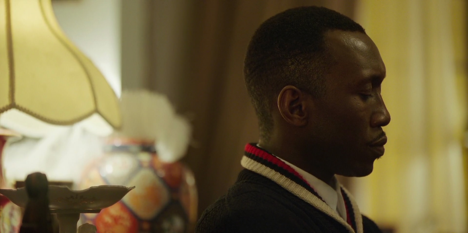 Green Book (2018) HD screenshot 14105