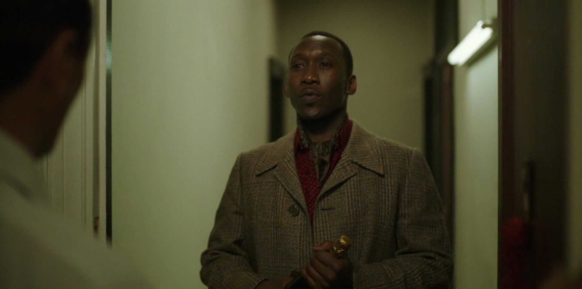Green Book (2018) movie still 14416