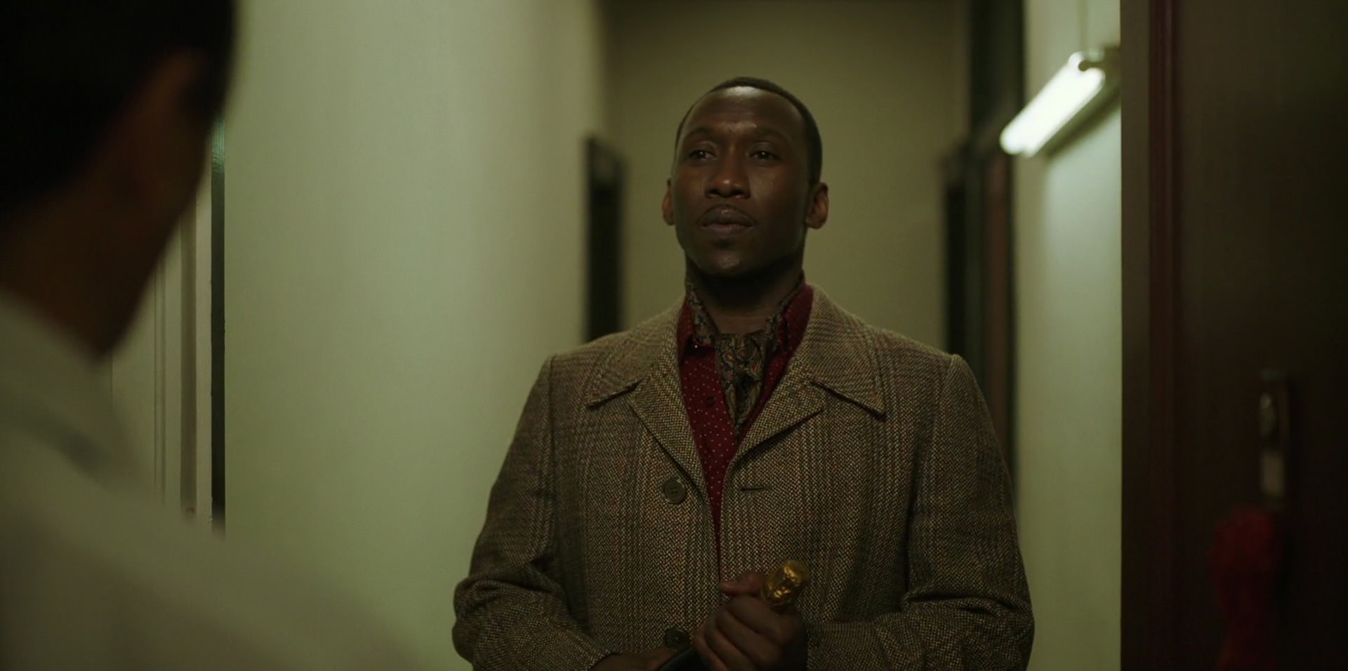 Green Book (2018) HD screenshot 14417