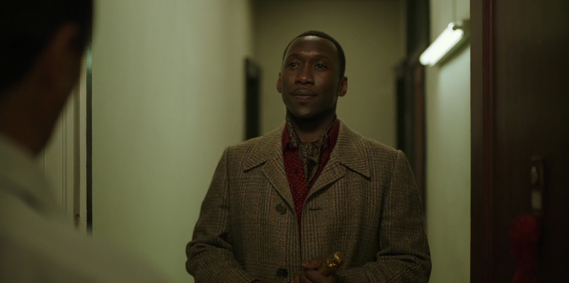 Green Book (2018) movie still 14419