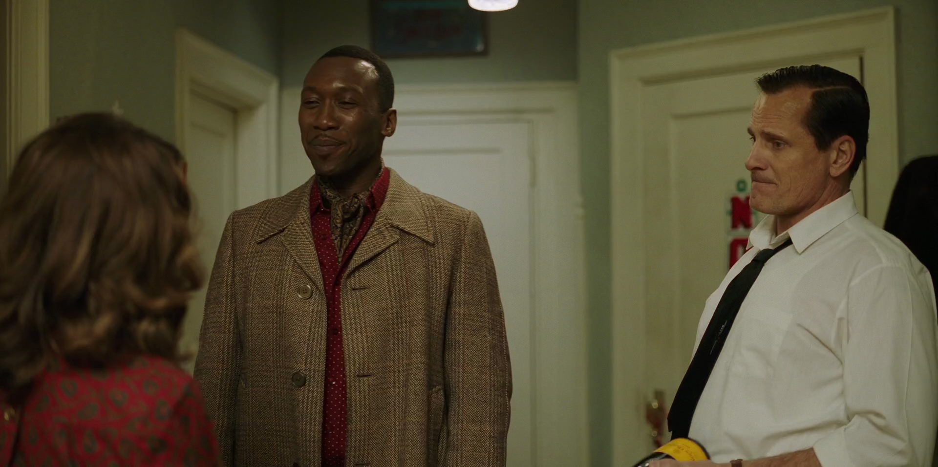 Green Book (2018) movie still 14500