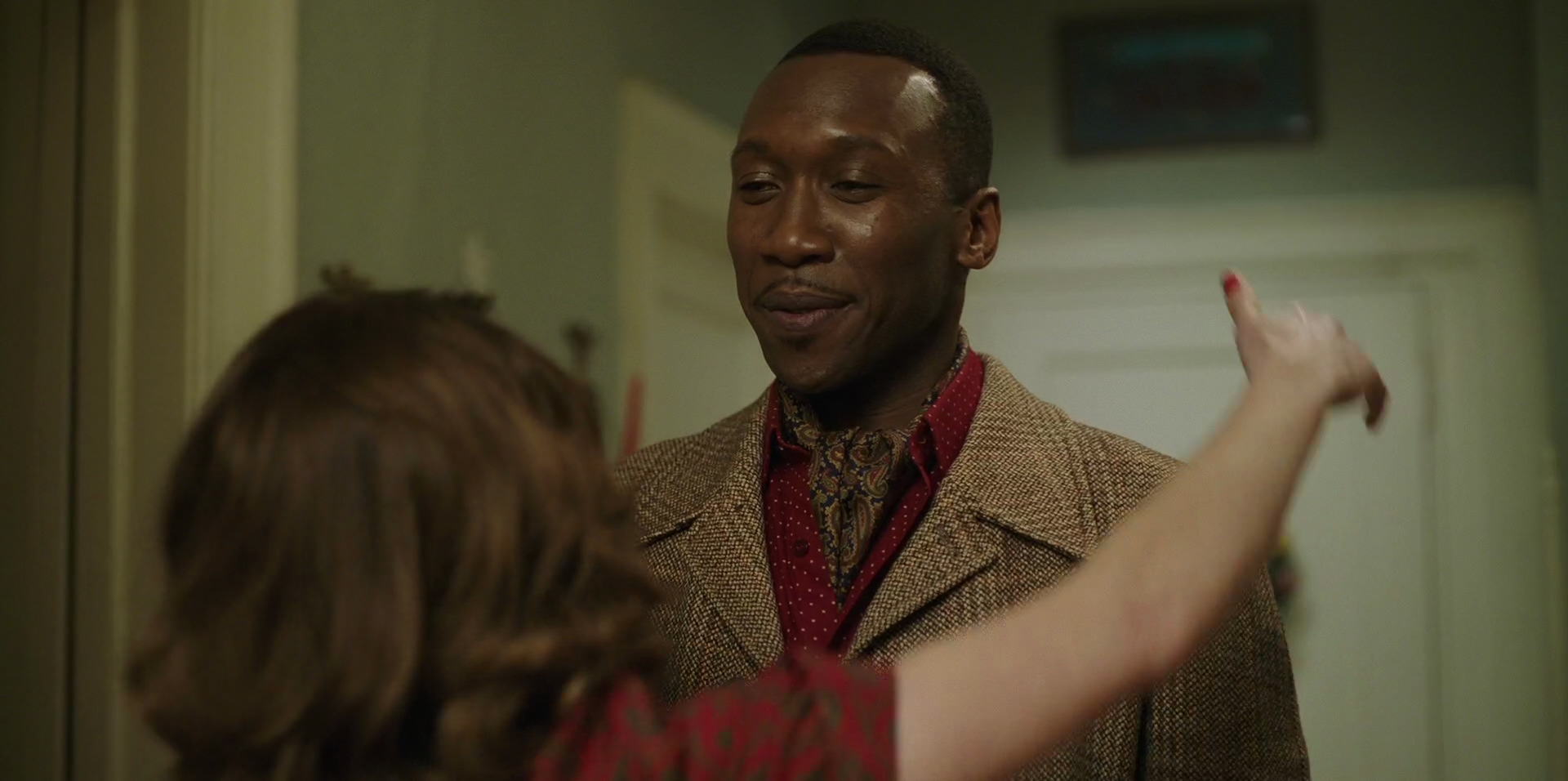 Green Book (2018) movie still 14521