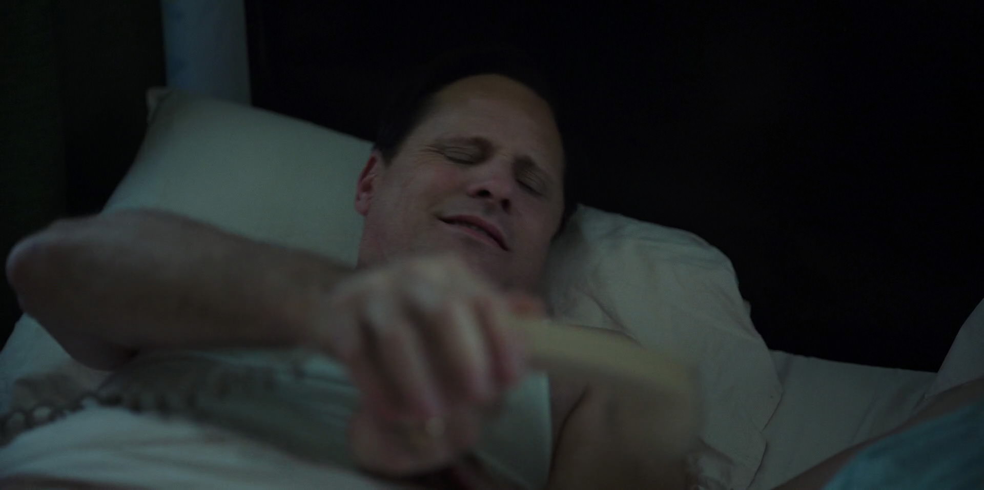 Green Book (2018) HD screenshot 2549