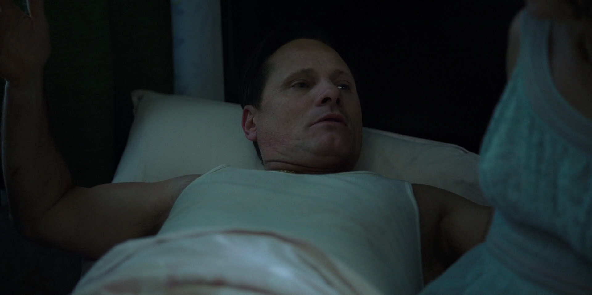 Green Book (2018) HD screenshot 2624