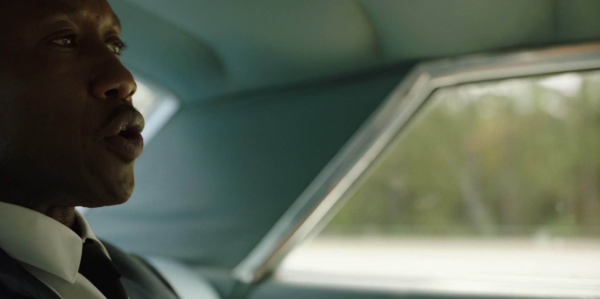Green Book (2018) HD screenshot 3359
