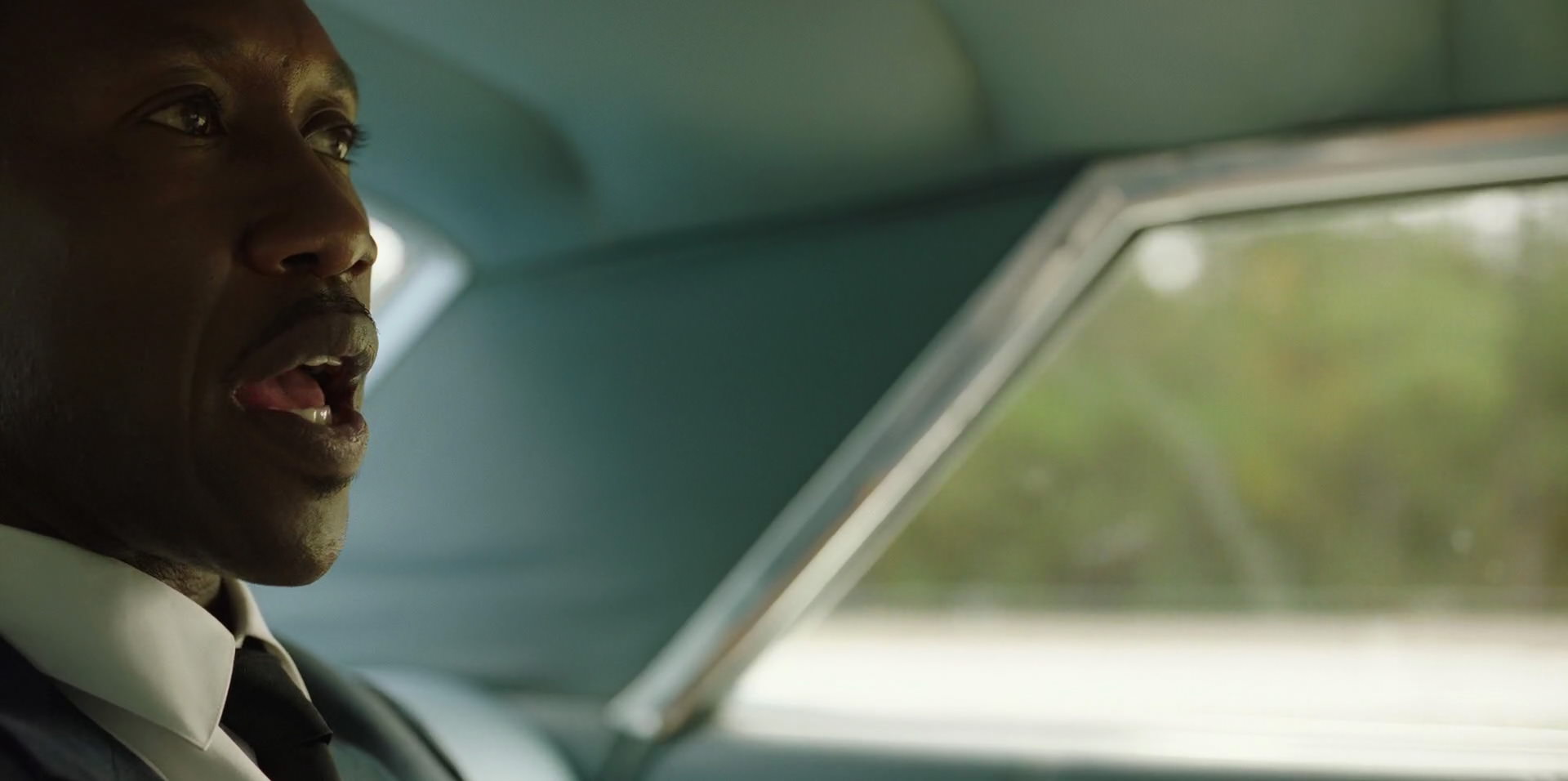 Green Book (2018) HD screenshot 3368