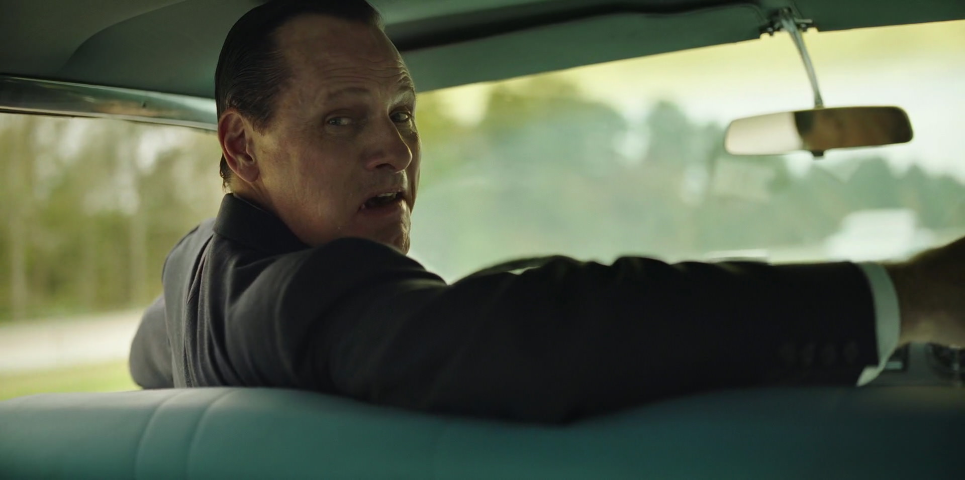 Green Book (2018) HD screenshot 3398