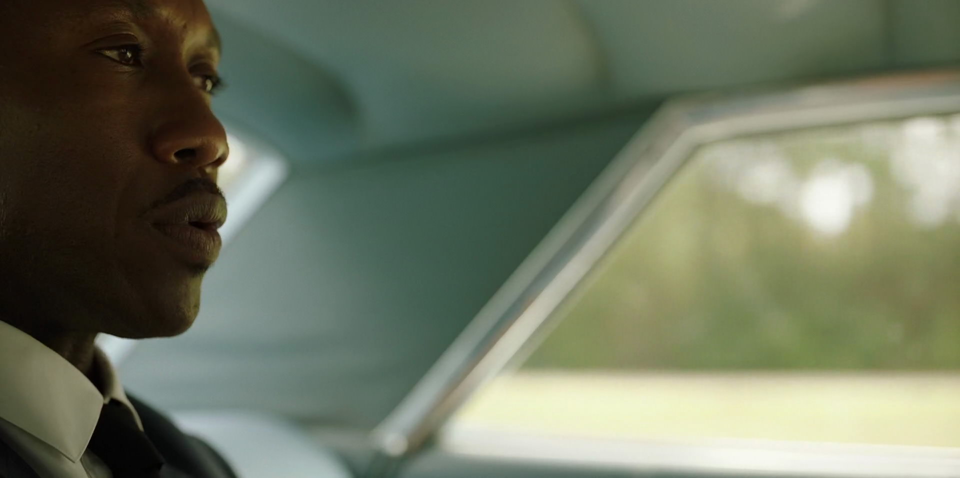 Green Book (2018) HD screenshot 3401